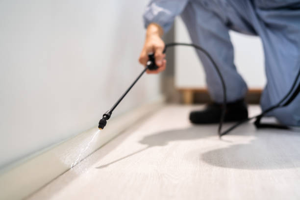 Licensed Pest Control service in St. Augustine Shores, FL - Show Me Pest Control