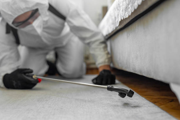 Professional Ant Control technician working in St. Augustine Shores, FL