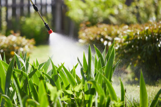 24/7 Emergency Wasp Removal experts in St. Augustine Shores, FL