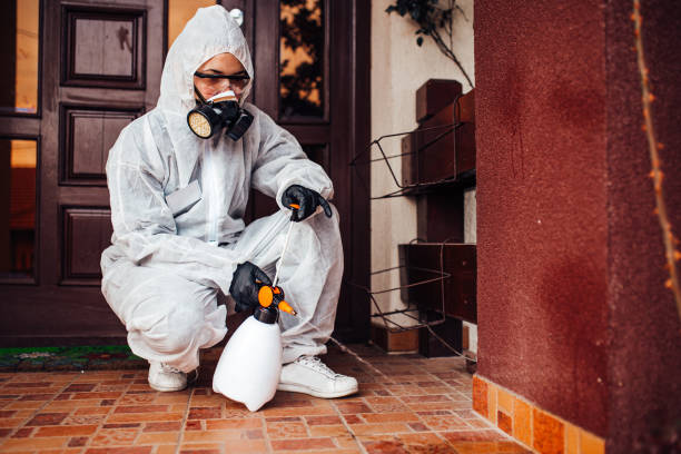 Reliable Wasp Removal contractor in St. Augustine Shores, FL by Show Me Pest Control